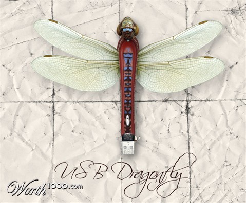 Photoshop Design by zokrukun