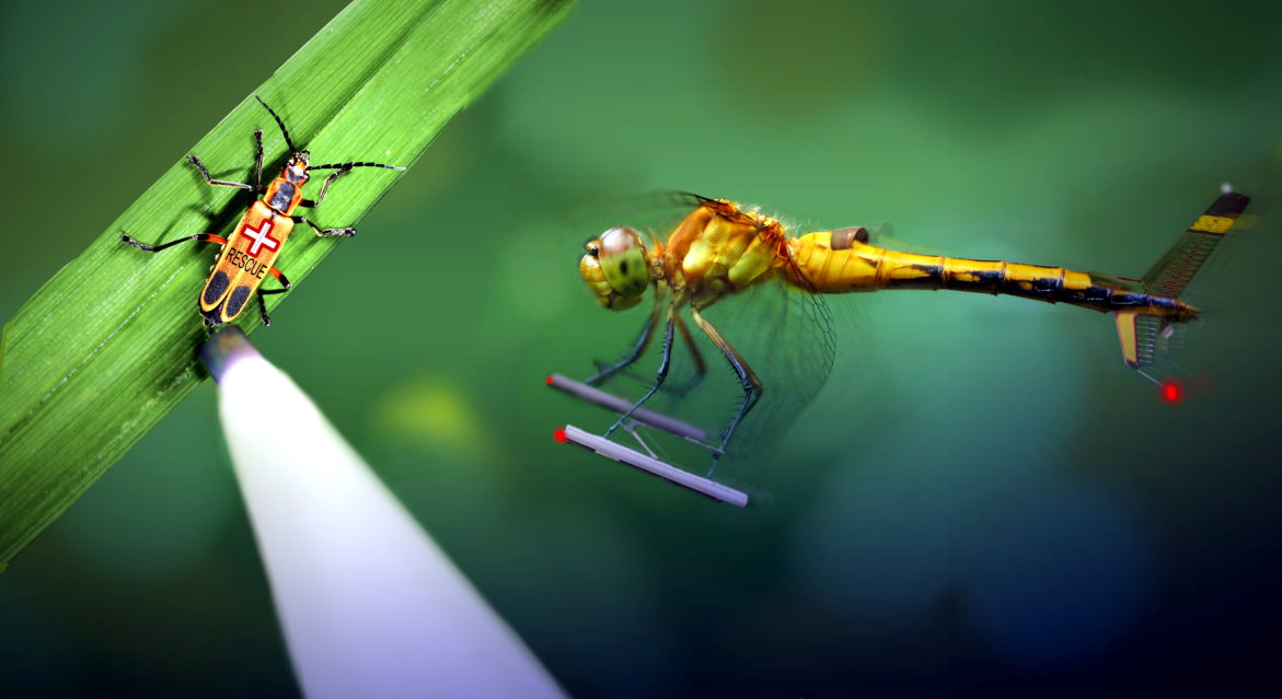 Photoshop Design by HopePhoto for DesignCrowd (Community Contests) | Design #9016390