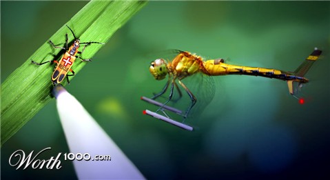 Photoshop Design by HopePhoto