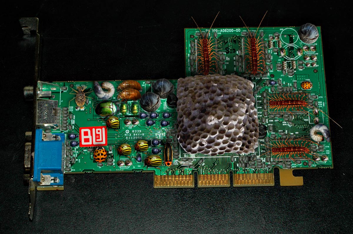 Diseño de Photoshop por FireDragon101 para DesignCrowd (Community Contests) | Diseño #9016400