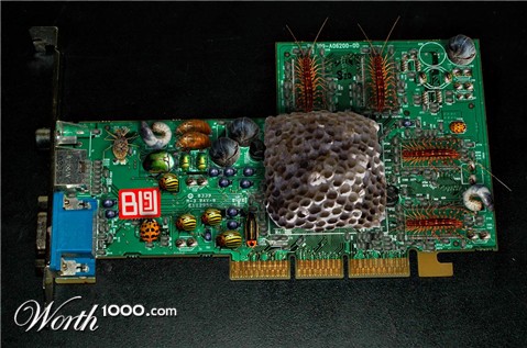 Photoshop Design by FireDragon101