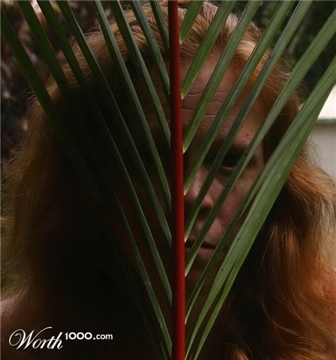 Photography by JillianRed