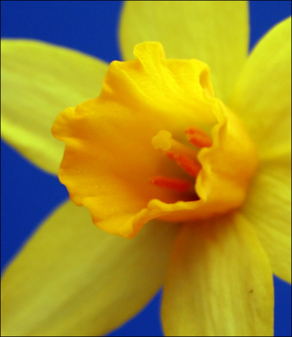 Photography by Hangerhead for DesignCrowd (Community Contests) | Design #9015981