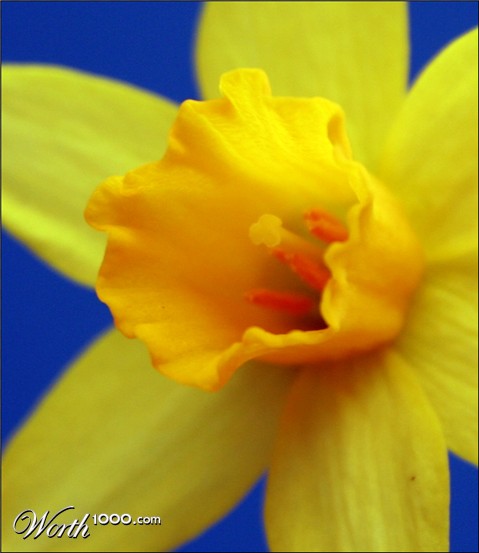 Photography by Hangerhead