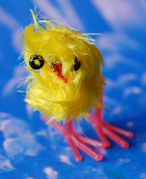 Photographie par sproglet pour DesignCrowd (Community Contests) | Design #9015934