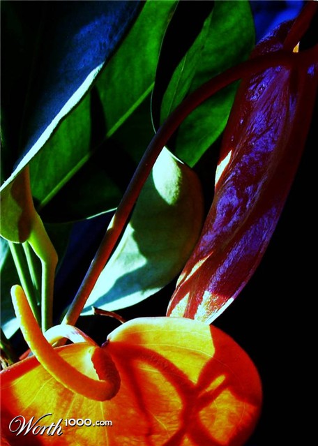 Photography by Berilu