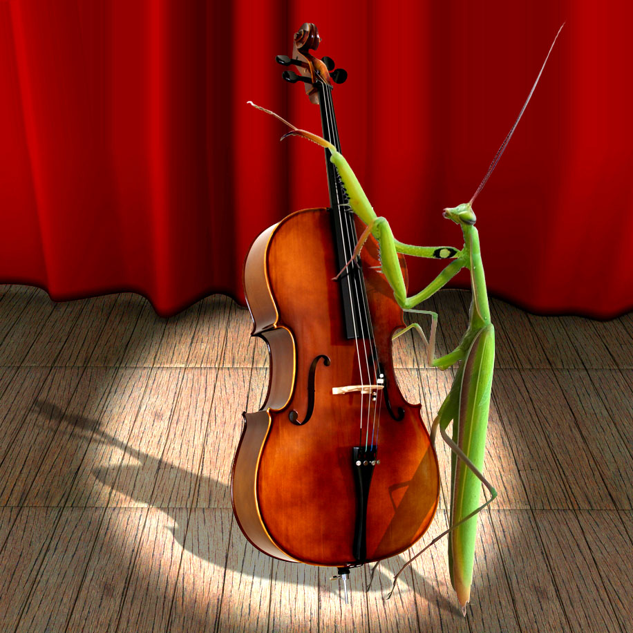 Photoshop Design by davidberettaowens for DesignCrowd (Community Contests) | Design #9018785