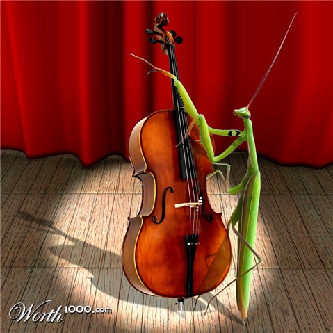 Photoshop Design by davidberettaowens