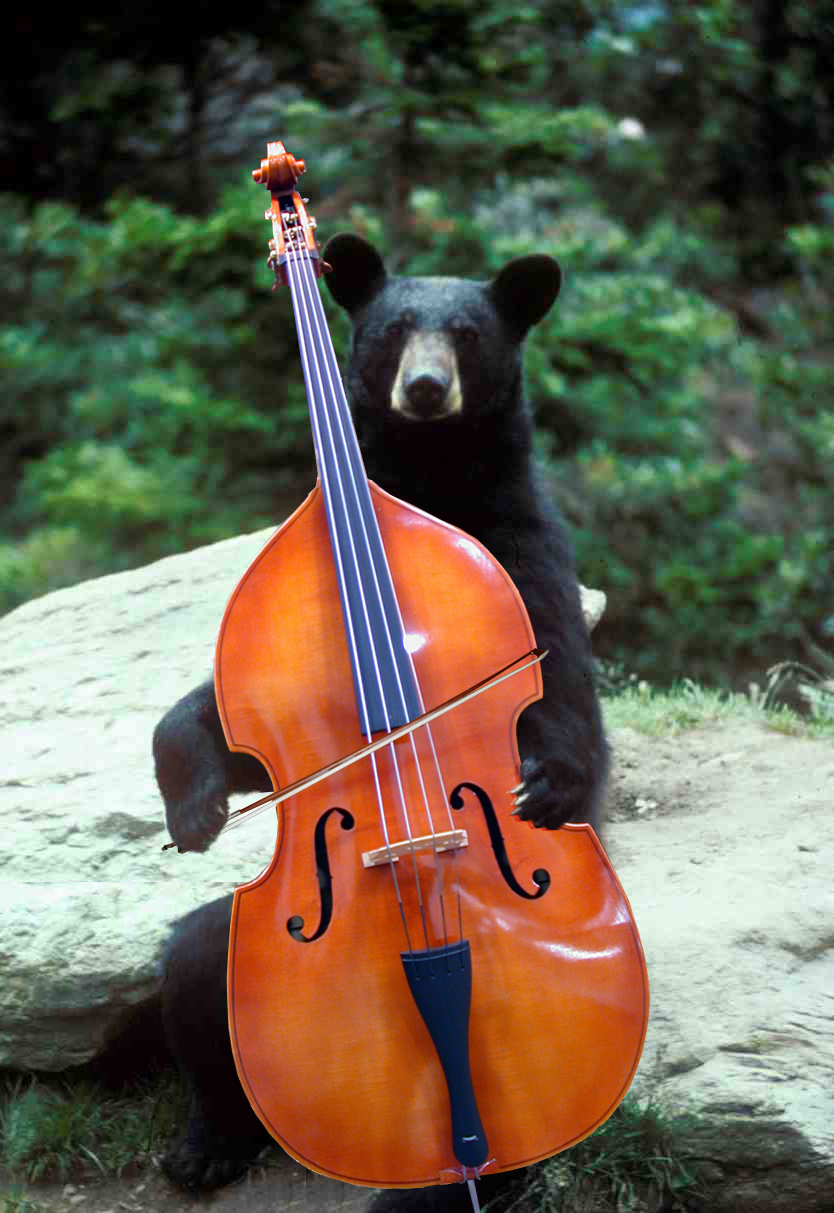 Photoshop Design by whezker for DesignCrowd (Community Contests) | Design #9018774