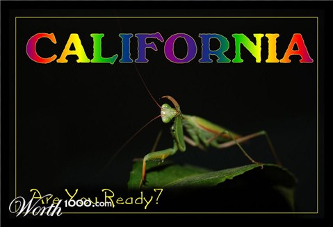 Photography by alwaysbeencreative