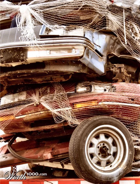 Photography by Suziecuchon