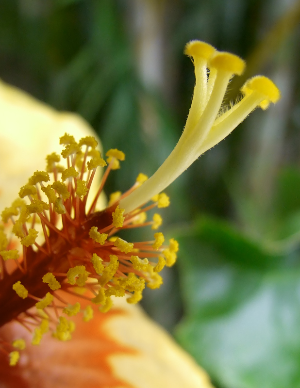 Fotografie von EyEars für DesignCrowd (Community Contests) | Design #9015992