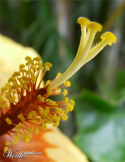 Photography by EyEars