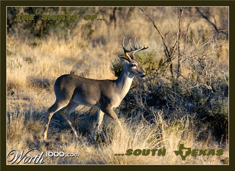 Photography by Fishcat