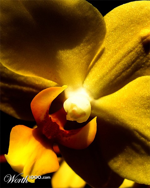 Photography by chilledcoder