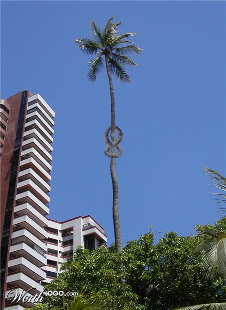 Photoshop Design by ManjushaVO