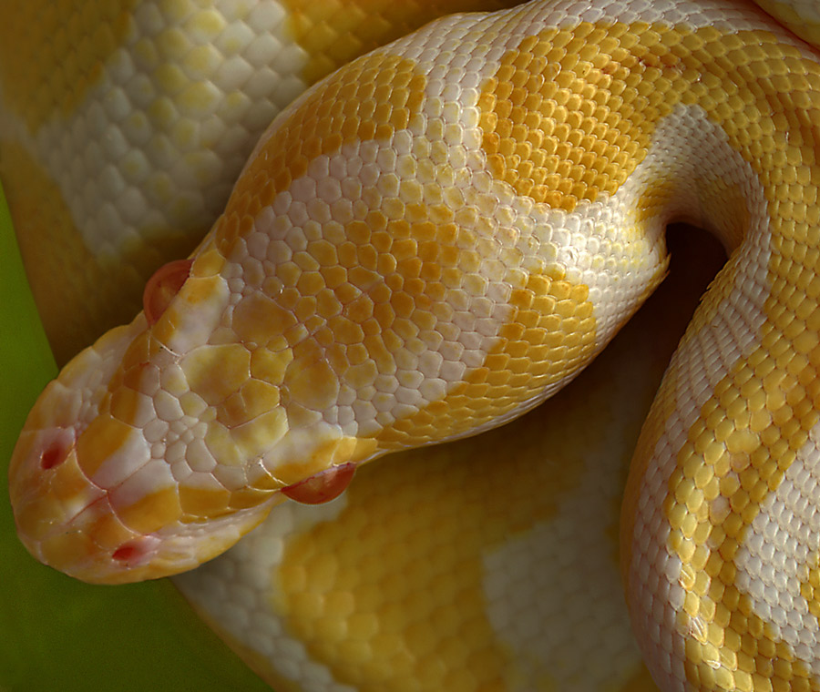 Photography by Karrie for DesignCrowd (Community Contests) | Design #9015997