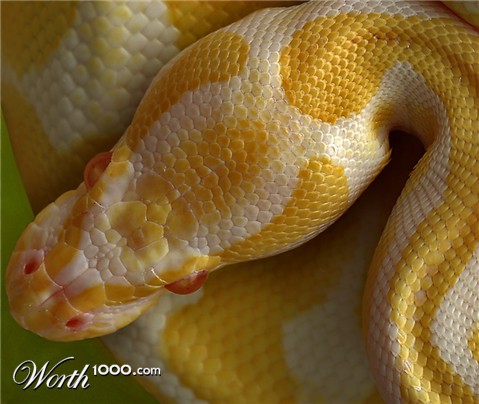 Photography by Karrie