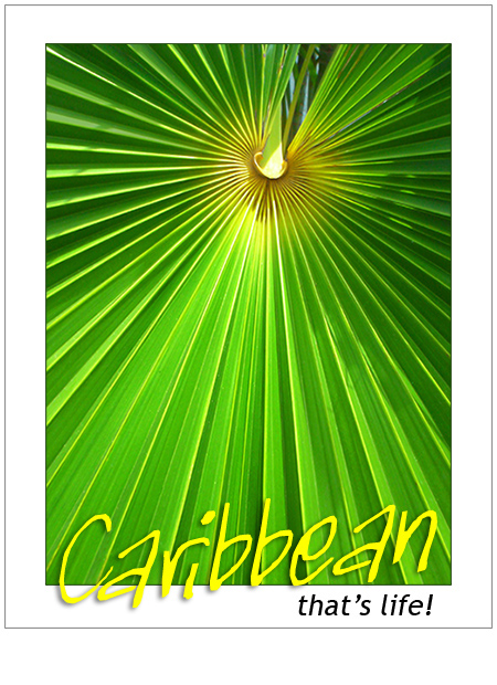 Photography by Koeffe for DesignCrowd (Community Contests) | Design #9018755