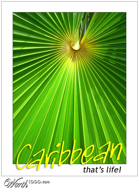 Photography by Koeffe