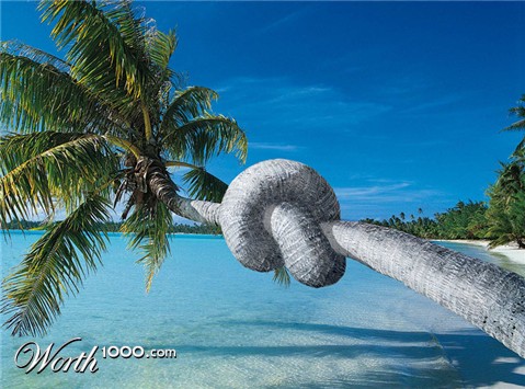 Photoshop Design by gormax