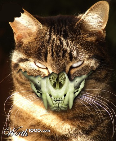 Photoshop Design by mattbyng