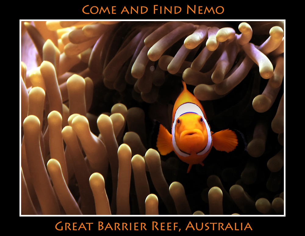 Fotografía por octopulse para DesignCrowd (Community Contests) | Diseño #9018833