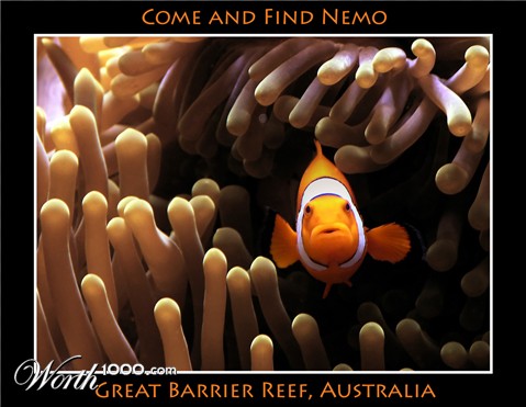 Photography by octopulse