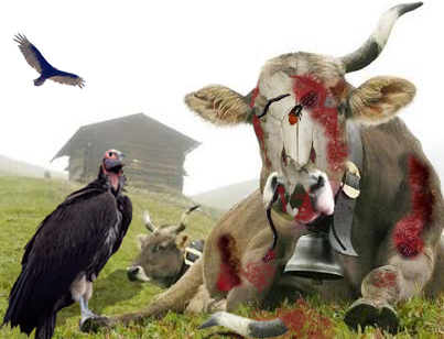 Photoshop Design by ManjushaVO for DesignCrowd (Community Contests) | Design #9023240