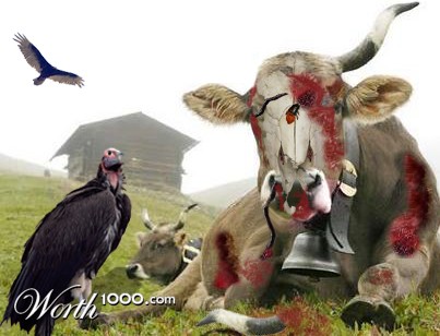 Photoshop Design by ManjushaVO