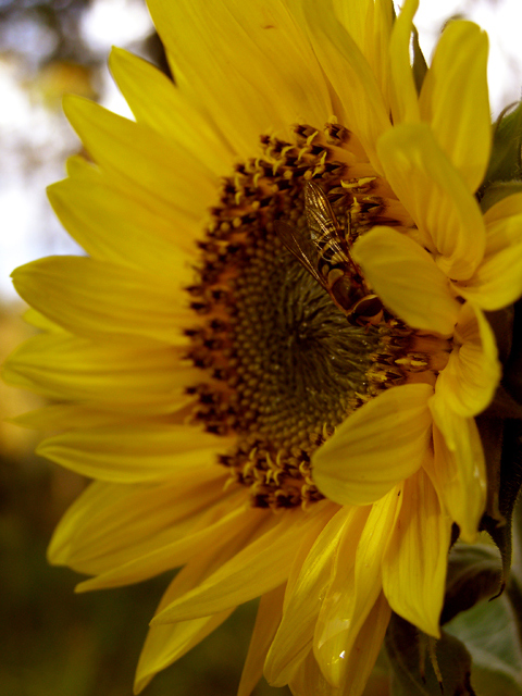 Photography by Tool47 for DesignCrowd (Community Contests) | Design #9016099