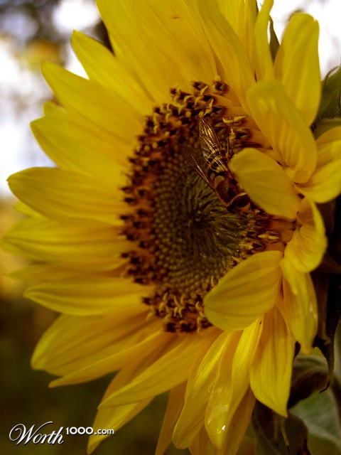 Photography by Tool47