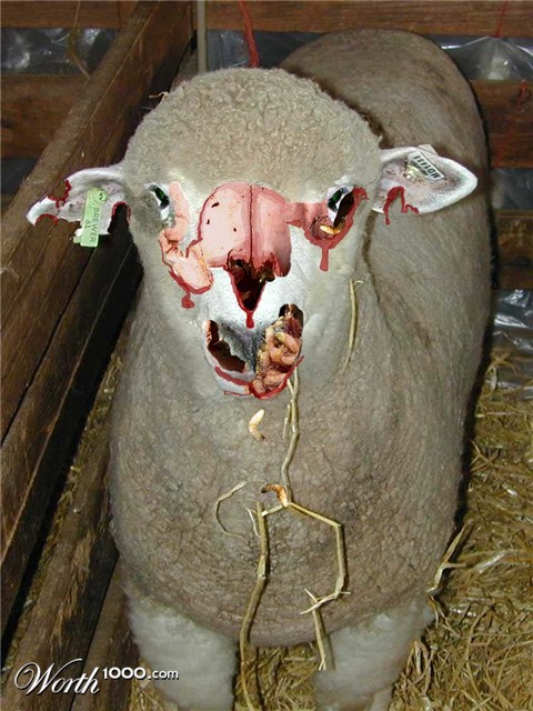 Photoshop Design by eckdeck