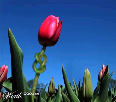 Photoshop Design by rblack