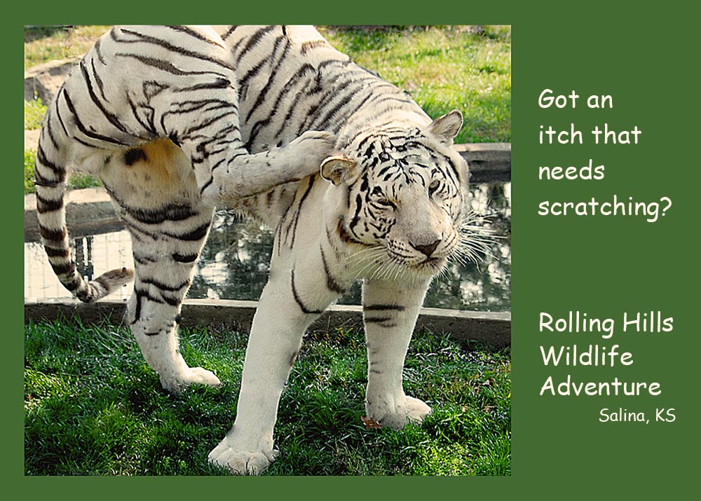 Photography by cshutt for DesignCrowd (Community Contests) | Design #9018890