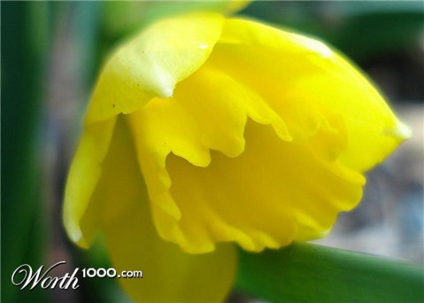 Photography by vchandana