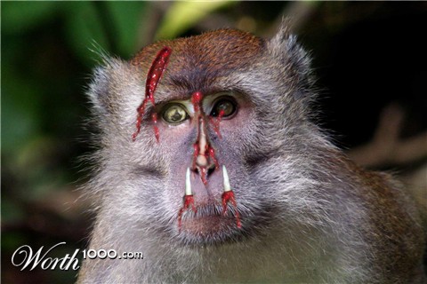 Photoshop Design by deerreaper