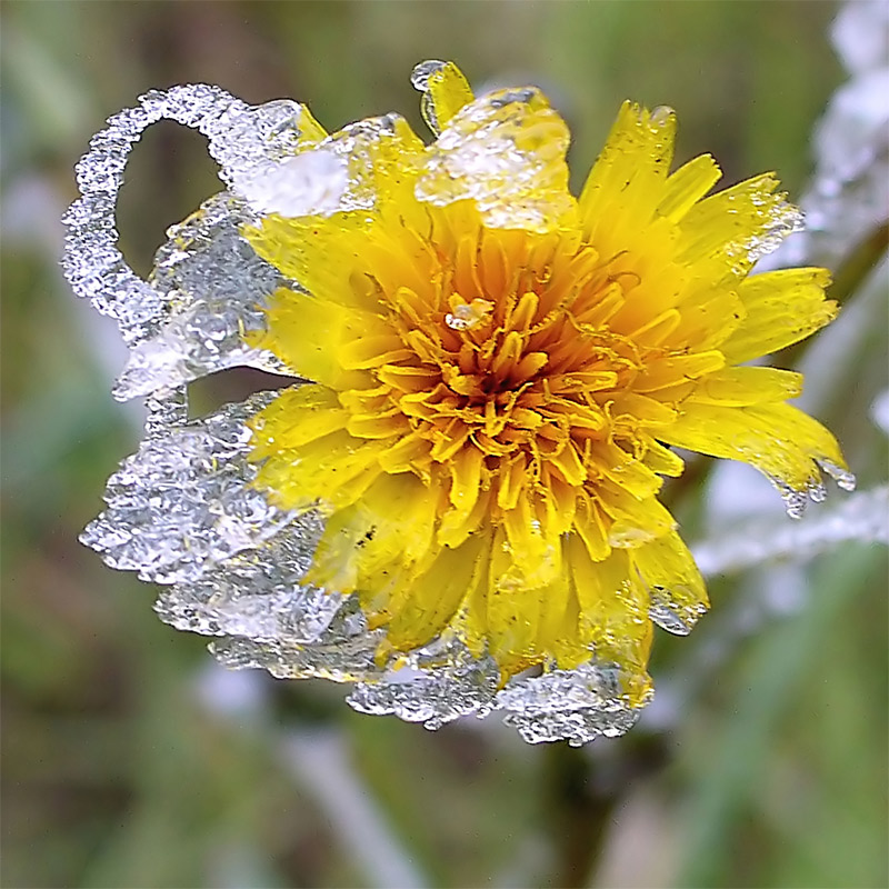 Photography by IsleofJura for DesignCrowd (Community Contests) | Design #9016080