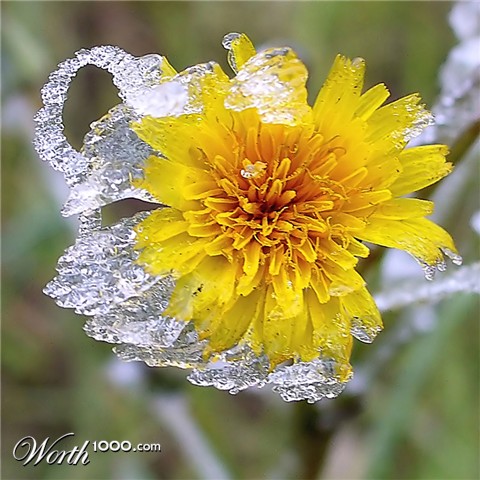 Photography by IsleofJura