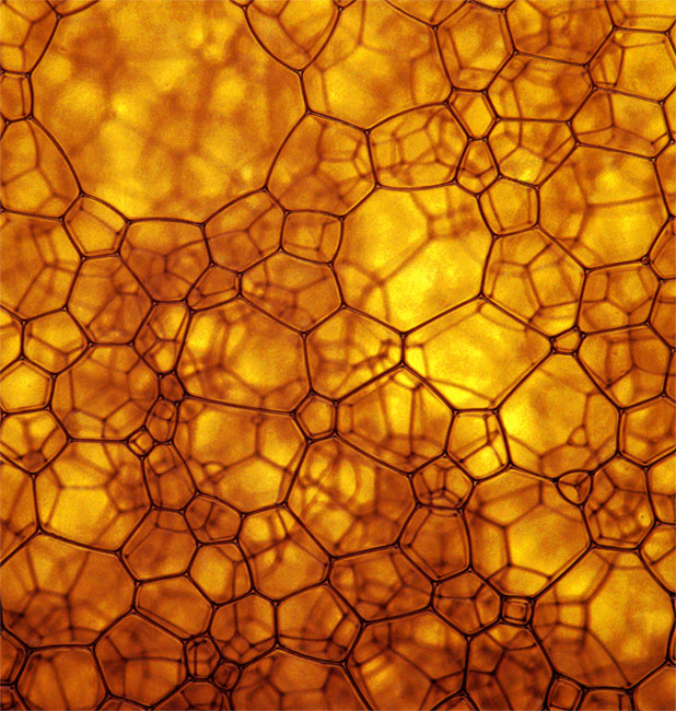 Photographie par emoska pour DesignCrowd (Community Contests) | Design #9016020