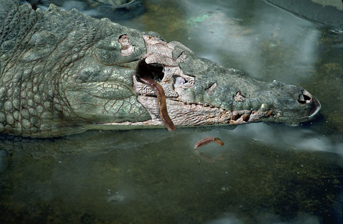 Photoshop-Design von zynnya für DesignCrowd (Community Contests) | Design #9023245