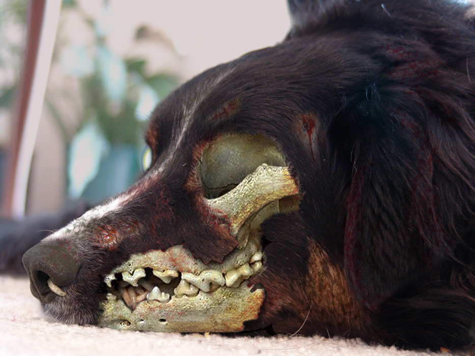 Diseño de Photoshop por rblack para DesignCrowd (Community Contests) | Diseño #9023248