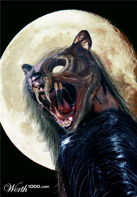 Photoshop Design by geerich