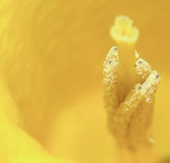 Photography by alxkueyar for DesignCrowd (Community Contests) | Design #9016101