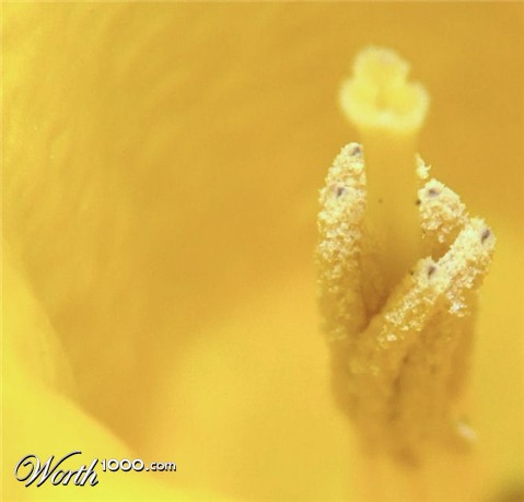 Photography by alxkueyar