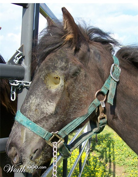 Photoshop Design by Paci4416