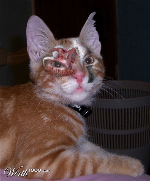 Photoshop Design by eskiss