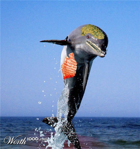 Photoshop Design by soalicesays