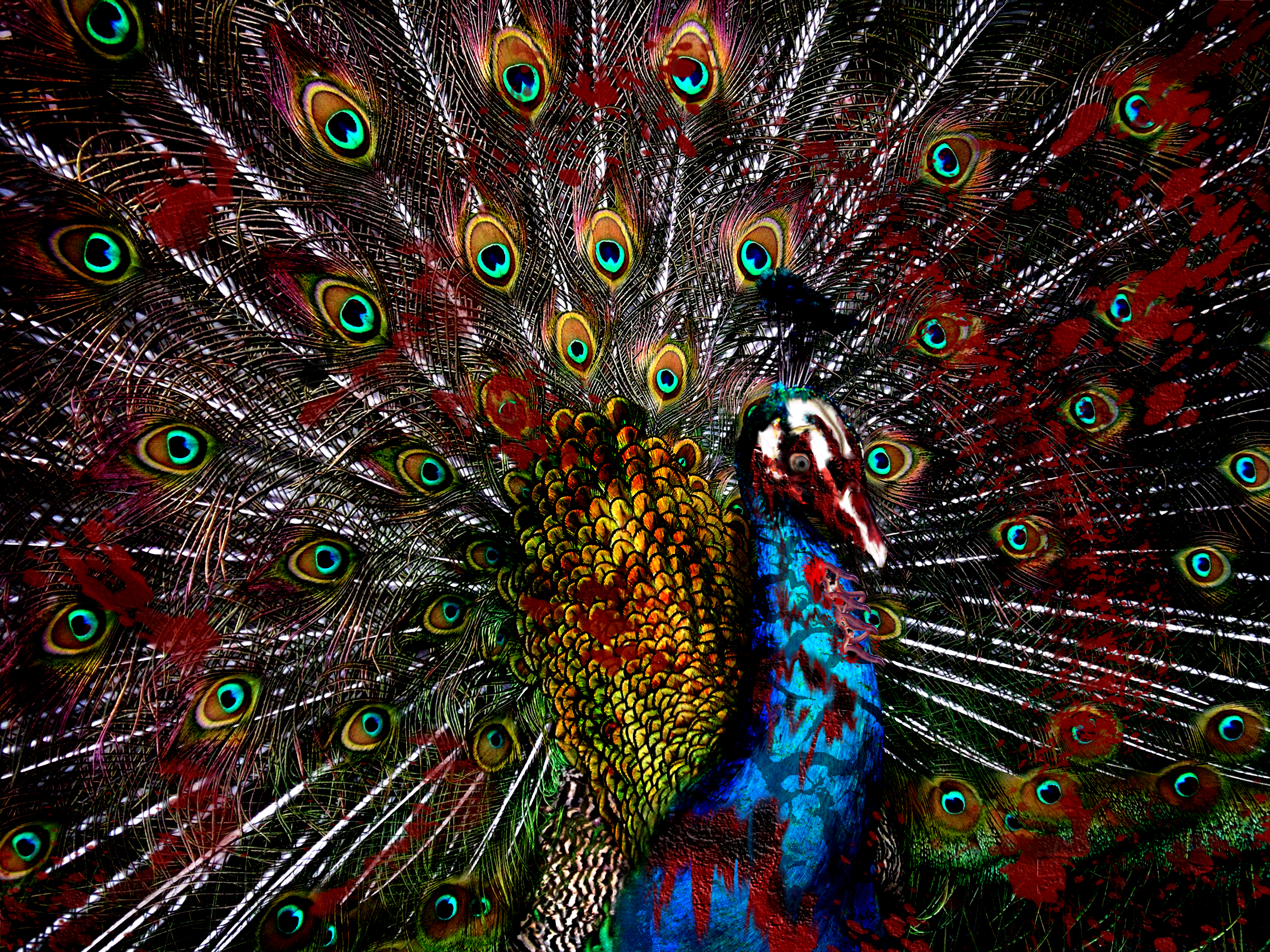 Diseño de Photoshop por pinkhelium para DesignCrowd (Community Contests) | Diseño #9023309