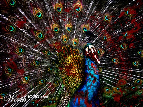 Photoshop Design by pinkhelium